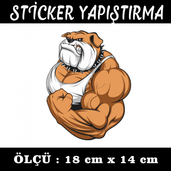 Bodyci bulldog sticker 2 ADET