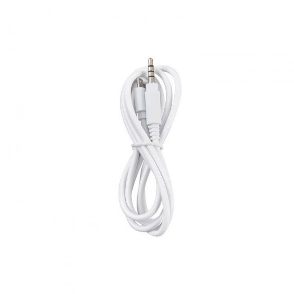 POWERMASTER MICRO USB TO AUX 4 BOĞUM 80 CM KABLO - 2