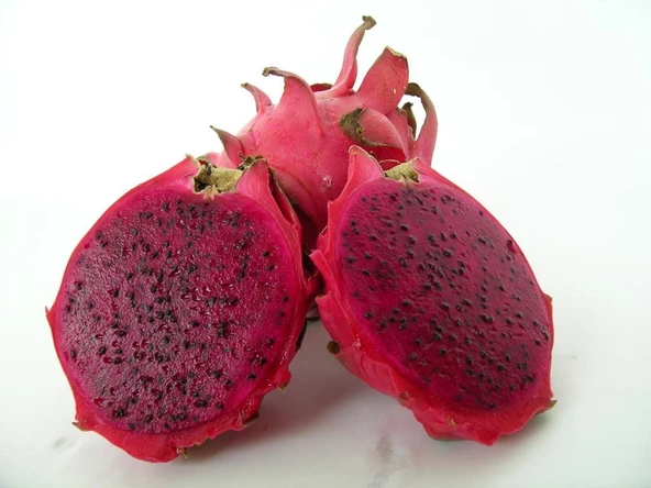 Thai Red (Özel Tür) Ejder Meyvesi Pitaya Fidanı - 1