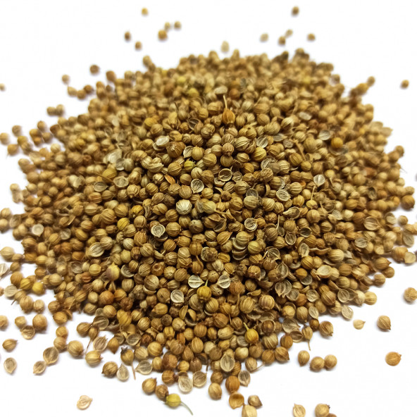 Naturdan Kişniş Tane 250 gr - 2