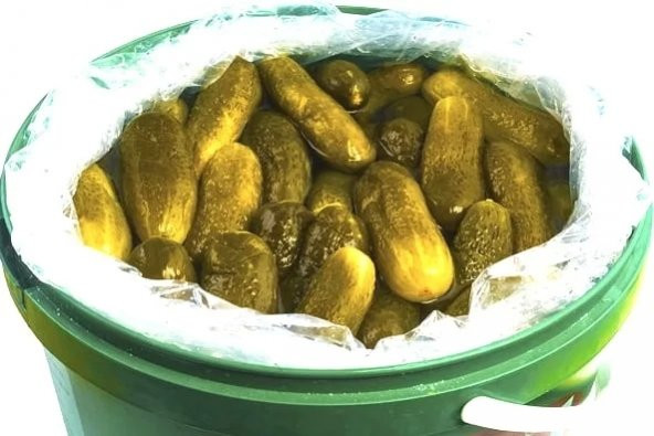 DORTKAR SALATALIK TURSU 9 KG KOVA