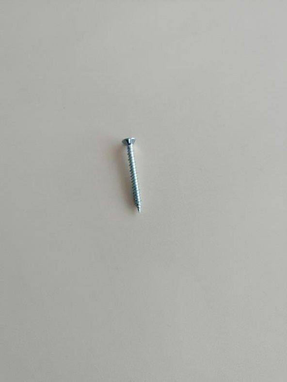 3,9*38 SEYREK DİŞ PVC VİDASI 25 ADET - 2