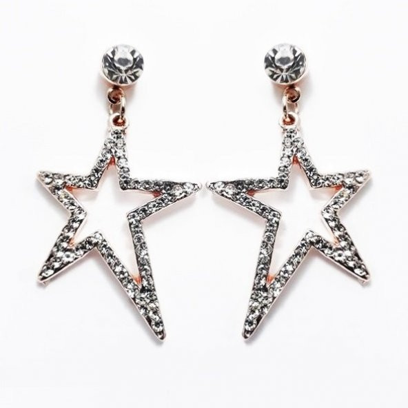 Zirkon Taş Kadın Yıldız Küpe