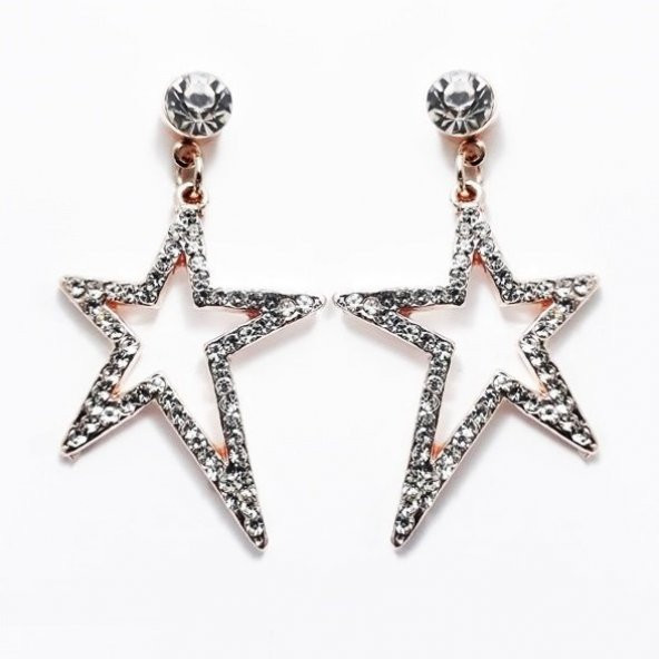 Zirkon Taş Kadın Yıldız Küpe - 2