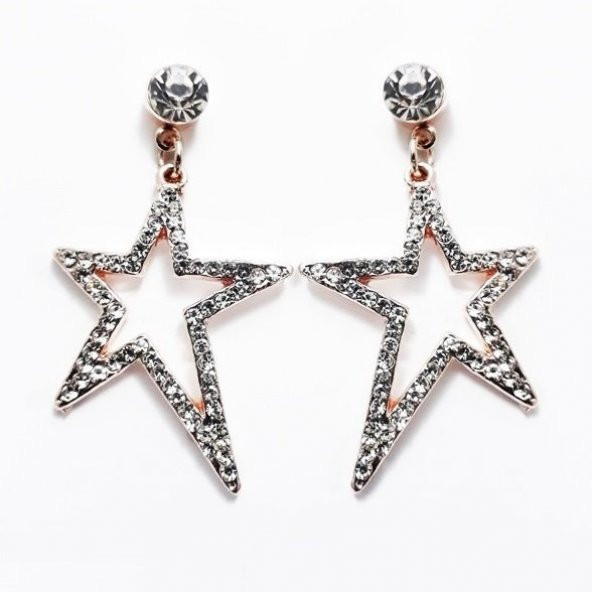 Zirkon Taş Kadın Yıldız Küpe - 3