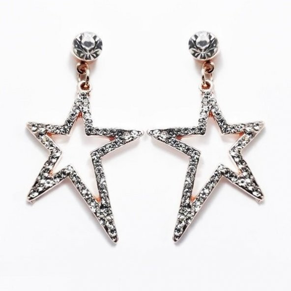 Zirkon Taş Kadın Yıldız Küpe - 4