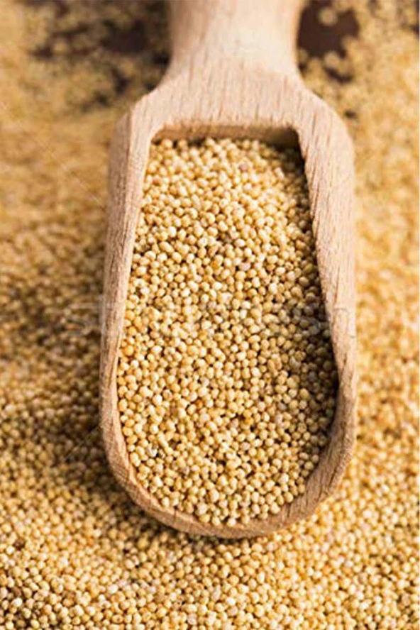 Organik Bitkim Sarı Haşhaş 100 gr - Resim 3