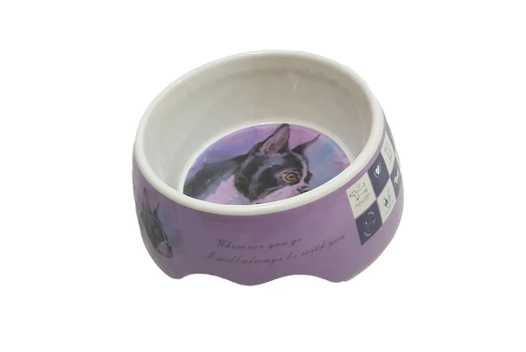 Bobo Kedi Köpek Mama ve Su Kabı BO-3153 700 ML Mor - 2