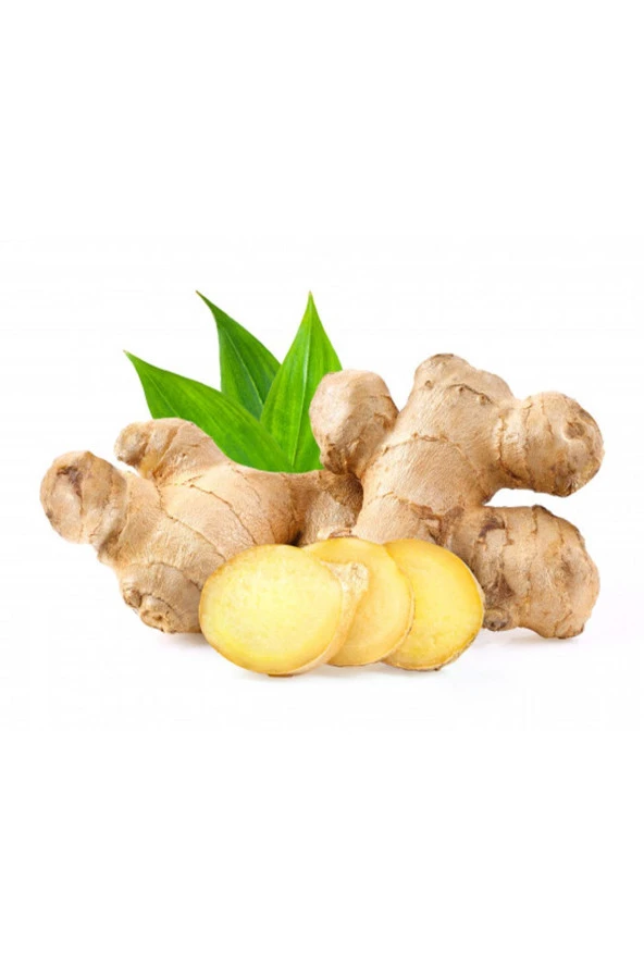 Organik Bitkim Zencefil Tane 150 gr - Resim 3