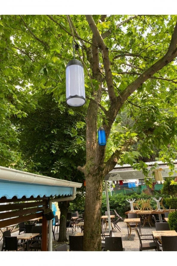 Zerpa Sarı Ağaç Feneri Z 13301 - 2