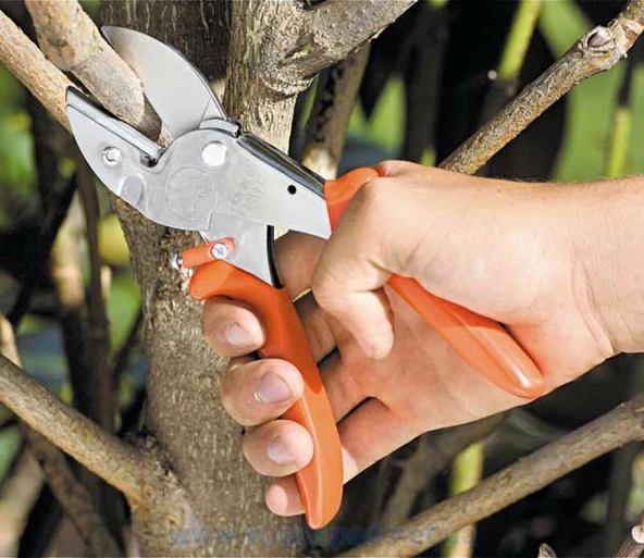 Löwe 2.107 Budama Makası Örs Ağız 21cm Kavisli sap - 5