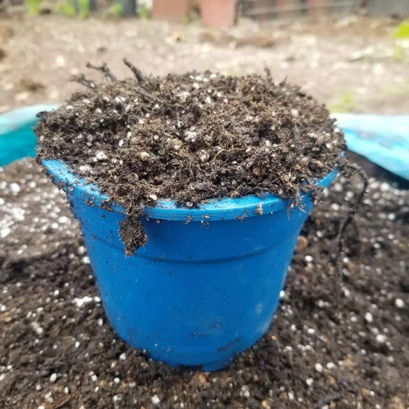 TANEMİX Genel Kullanım İçin Akıllı Torf Karışımı 25 LT - 2