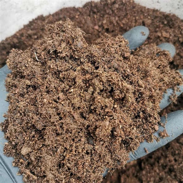 TANEMİX Gübre Katkılı Yüksek Kalite KAKTÜS ve SUKULENT Toprak Karışımı 10 LT - 2