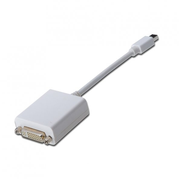 Thunderbolt To Dvi Kablo Çevirici Mini Display Port To Dvi Kablo - 2