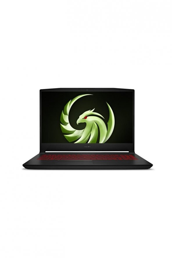 MSI Bravo 15 B5DD-209XTR AMD Ryzen 7 5800H 16GB 1TB SSD RX5500M Freedos 15.6