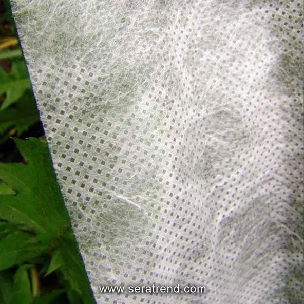 1,2x10 METRE 17gr AGRİL ISI DON ÖRTÜSÜ, ZİRAİ DON KIRAĞI ÖRTÜ KARPUZ ÇİLEK ÖRTÜSÜ, SERA TOPRAK ÖRTÜSÜ ELYAF - Resim 9