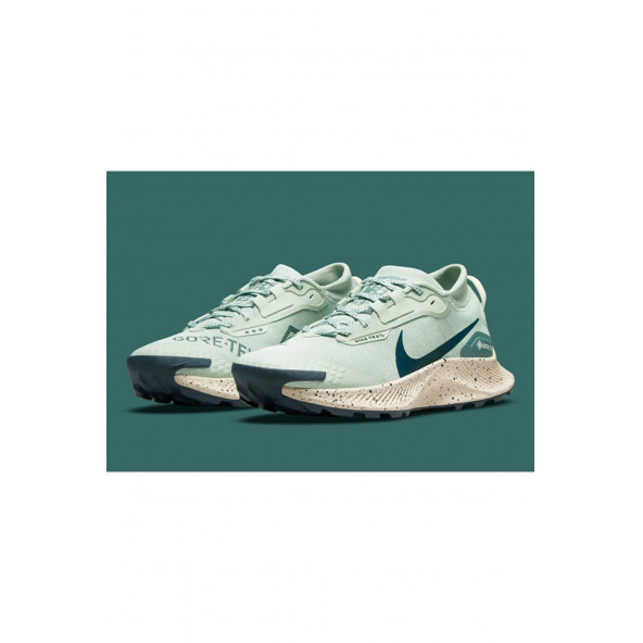 Nike Pegasus Trail 3 Gore-Tex