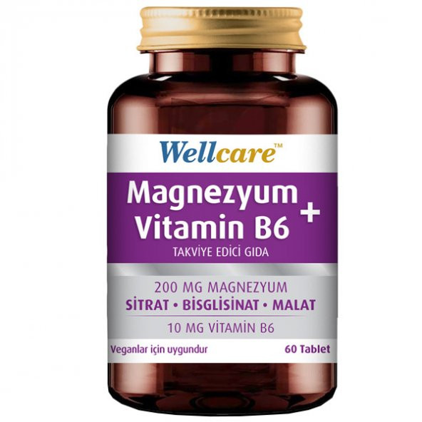 Wellcare Magnezyum + Vitamin B6 Takviye Edici Gıda 60 Tablet