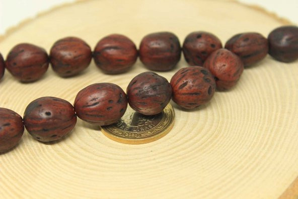 Andız Ağacı 17lik Efe Tesbih 1313mm (25585) - Resim 2