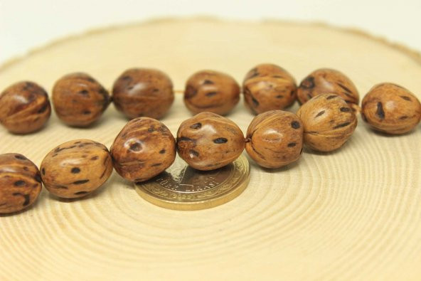 Andız Ağacı 17lik Efe Tesbih 13*13mm (25580) - Resim 3