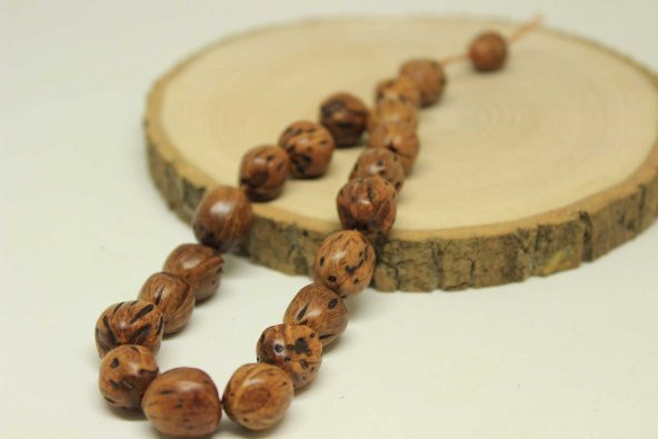 Andız Ağacı 17lik Efe Tesbih 13*13mm (25580) - Resim 4