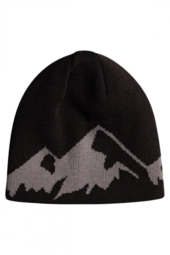 Quiksilver EQYHA03329-KVJ0 - M&W Beanie Bere