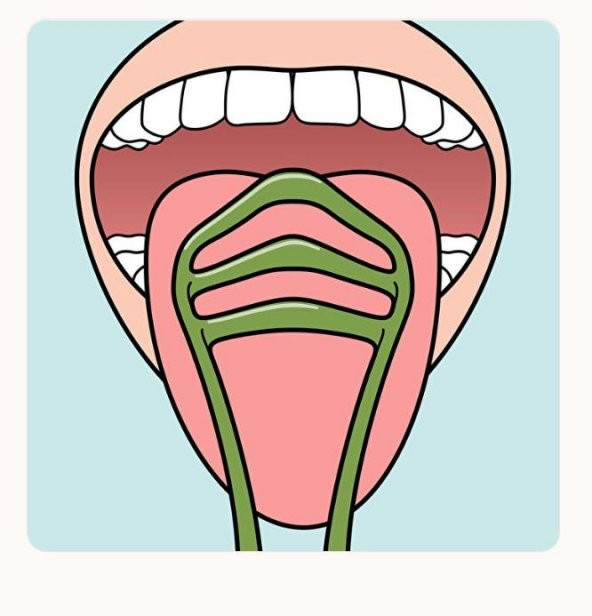 Tepe Dil Temizleme  7317400022178 - 2