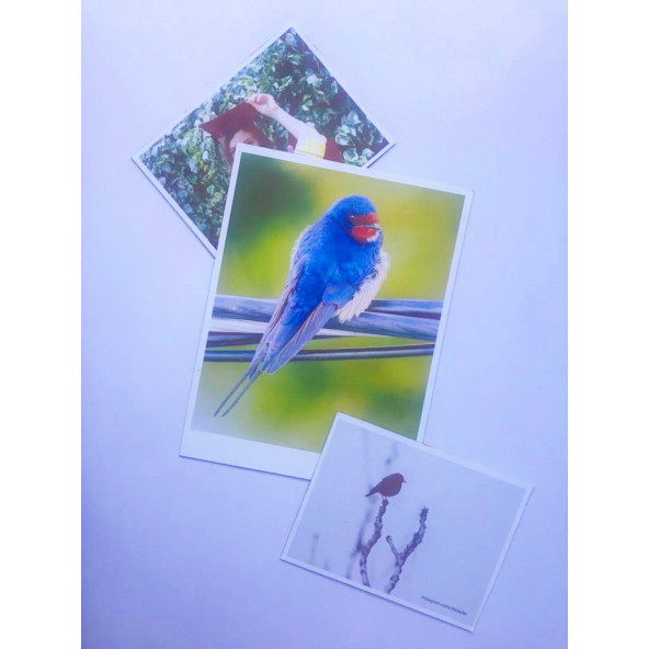 6x9 Magnet Fotoğraf
