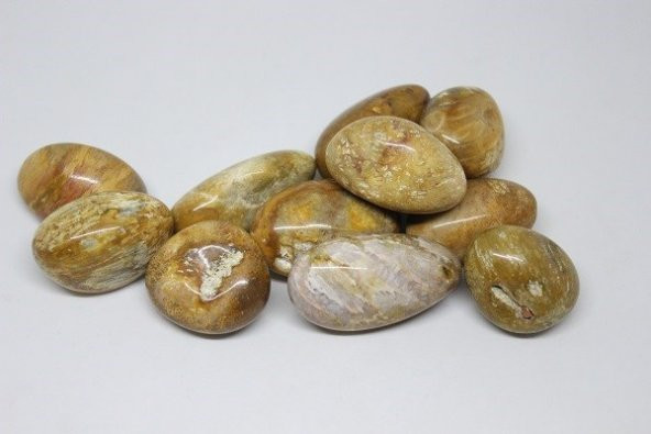 Tibet Akik Taşı ( 20-29 Gram) ürün görseli 1