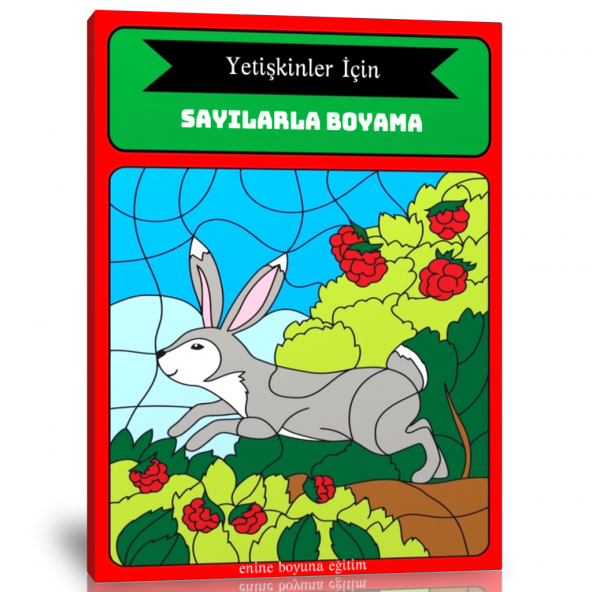 Yetişkinler İçin Sayılarla BOYAMA Kitabı