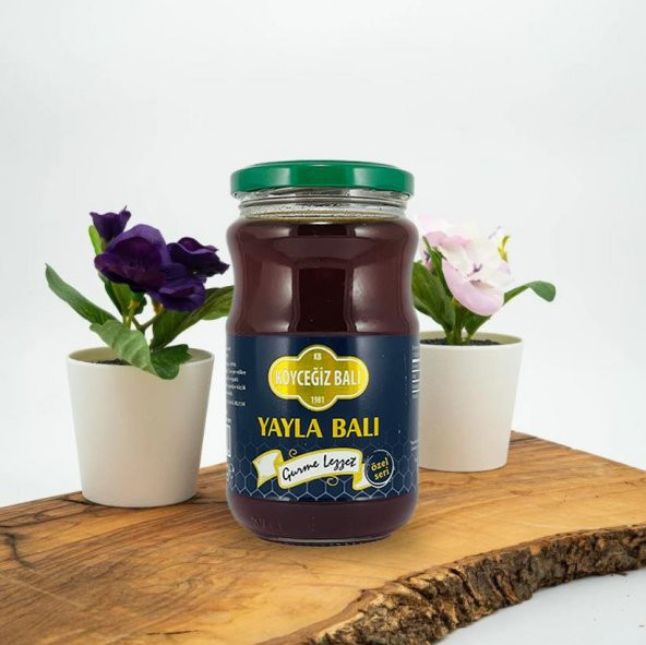 Kb Köyceğiz Balı Yayla Balı 450 G Cam Kavanoz