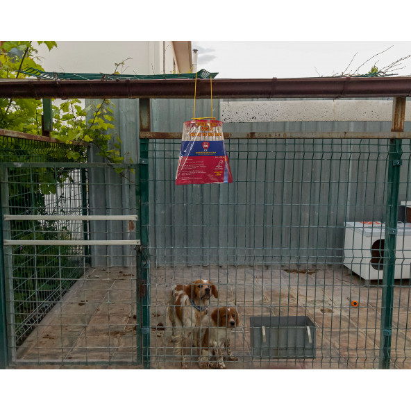 6 ADET FLY JAIL XL, POŞET KARASİNEK TUZAĞI - 3