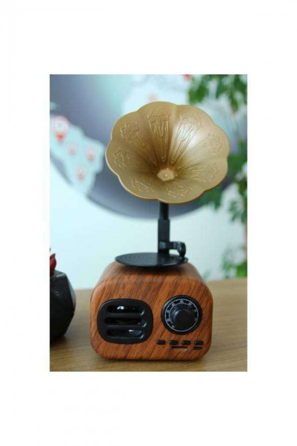B5 Nostaljik Mini Retro Dizayn Gramafon Radyo Usb Aux Bluetooth Radyo