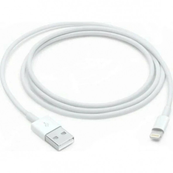 Apple Iphone Uyumlu Hızlı Şarj Aleti Kablosu 2m Lightning To USB Cable - 3