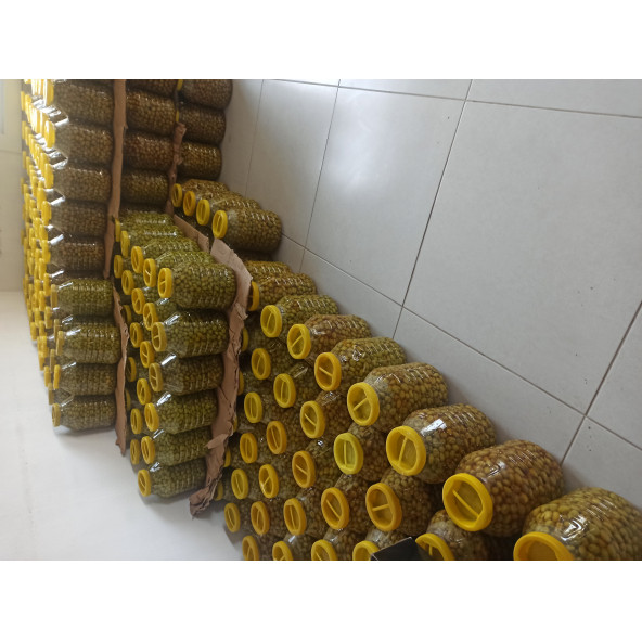 Yeşil kırma zeytin (3 bidon,10 kg kırma zeytin)