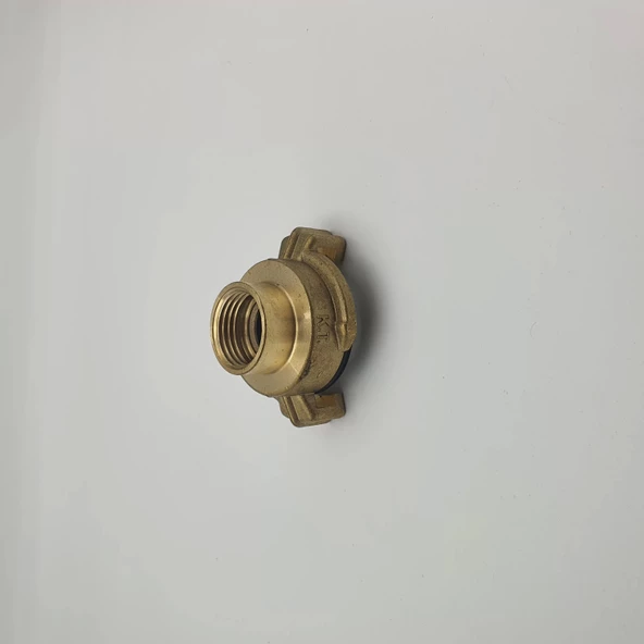 Tırnaklı Hortum Rekoru Dişi 1/2 - Resim 3