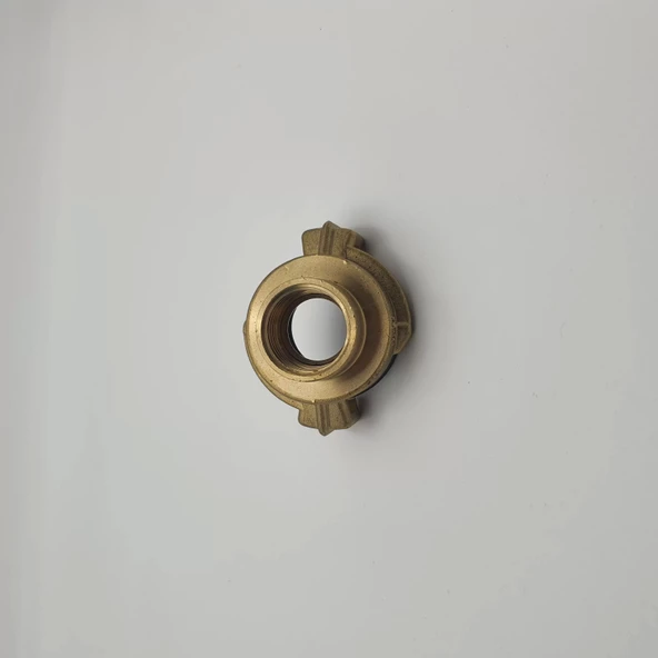 Tırnaklı Hortum Rekoru Dişi 1/2 - Resim 2