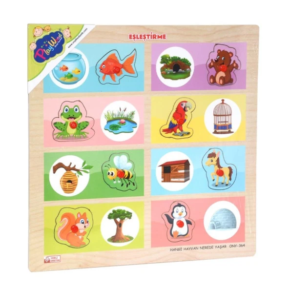 ONY-363-364 Ahşap Tutmalı Eşleştirme Hangi Hayvan Nerede Yaşar -Onyıl - 12