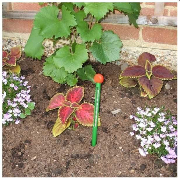 TFA Toprak Termometresi - 2