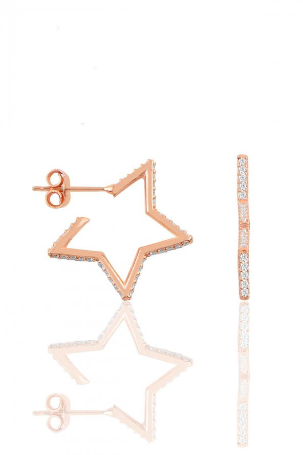 Gümüş rose zirkon taşlı star küpe ürün görseli 1