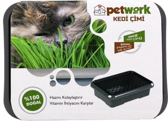 Kedi Çimi - Mama Kabı / Su Kabı Hediyeli (Lisinya) - 3