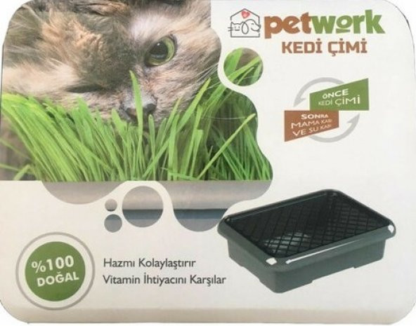 Kedi Çimi - Mama Kabı / Su Kabı Hediyeli (Lisinya) - 5