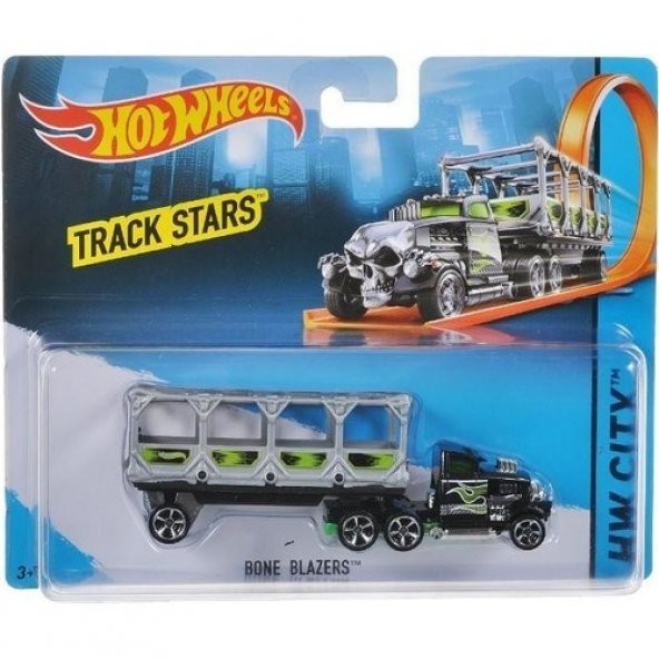 Hot Wheels Kamyonlar - 3