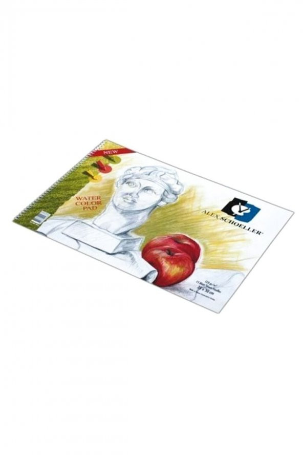 Alex Schoeller Resim Defteri Spiralli 35 X 50 120 Gr 15 Yaprak