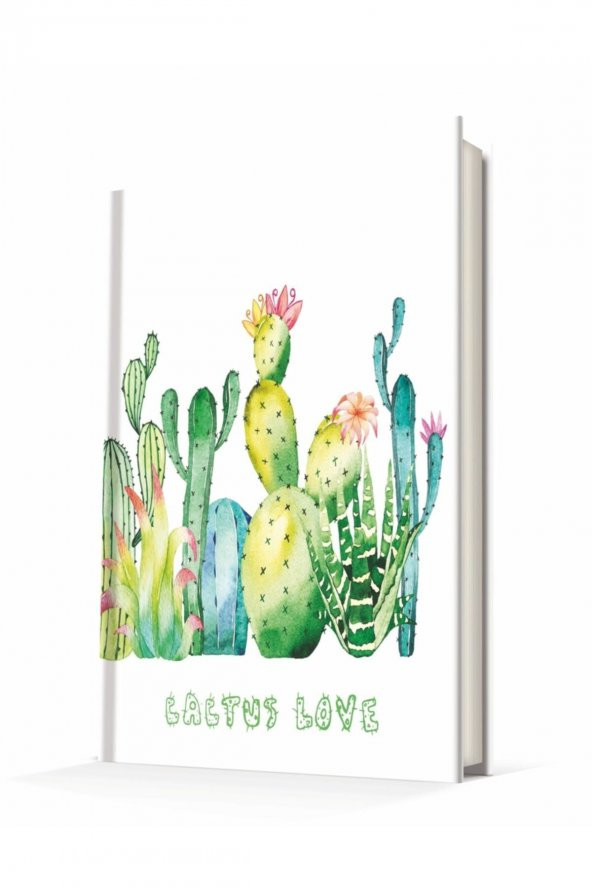 Deffter Cactus love 2 Not Defteri