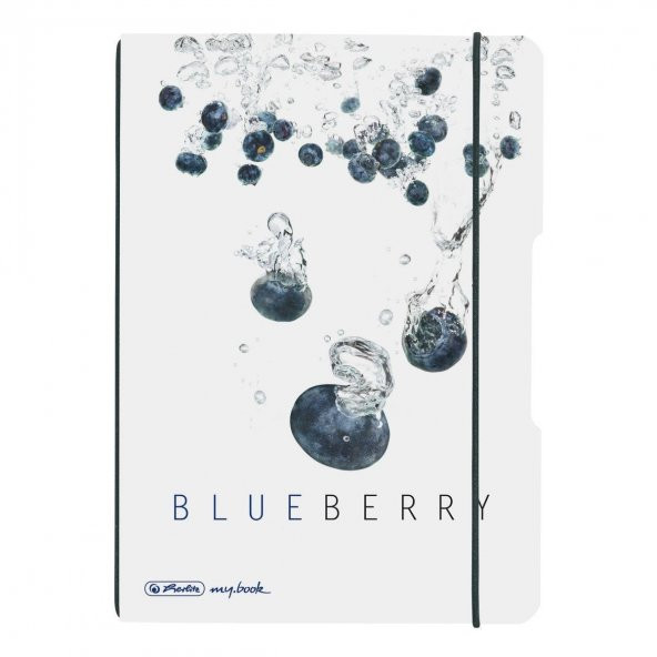 Herlitz A5 Kareli Defter Blueberry ürün görseli 1