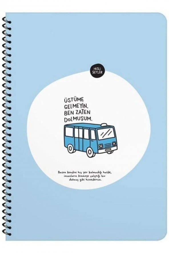 Hisli Şeyler Üstüme Gelmeyin Ben Zaten Dolmuşum - Kareli Defter