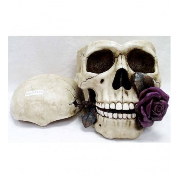 WISE Veronese İskelet Serisi-WISE KURUKAFA KULLUK-15*23*13 CM. ürün görseli