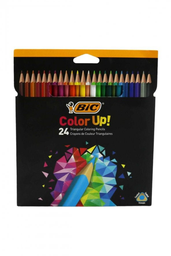 Bic Color Up 24lü Kuru Boya Kalemi