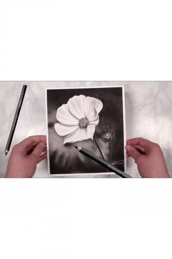 Lyra 3B Rembrandt Carbon Hi-Quality Dereceli Füzen Kalem - Resim 3